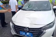 国产无马,引领绿色出行新潮流